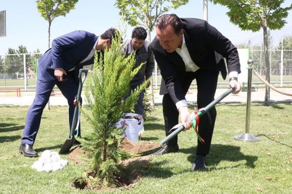  درختی که بدون صاحب شد  نام ویلموتس از کمپ حذف شد