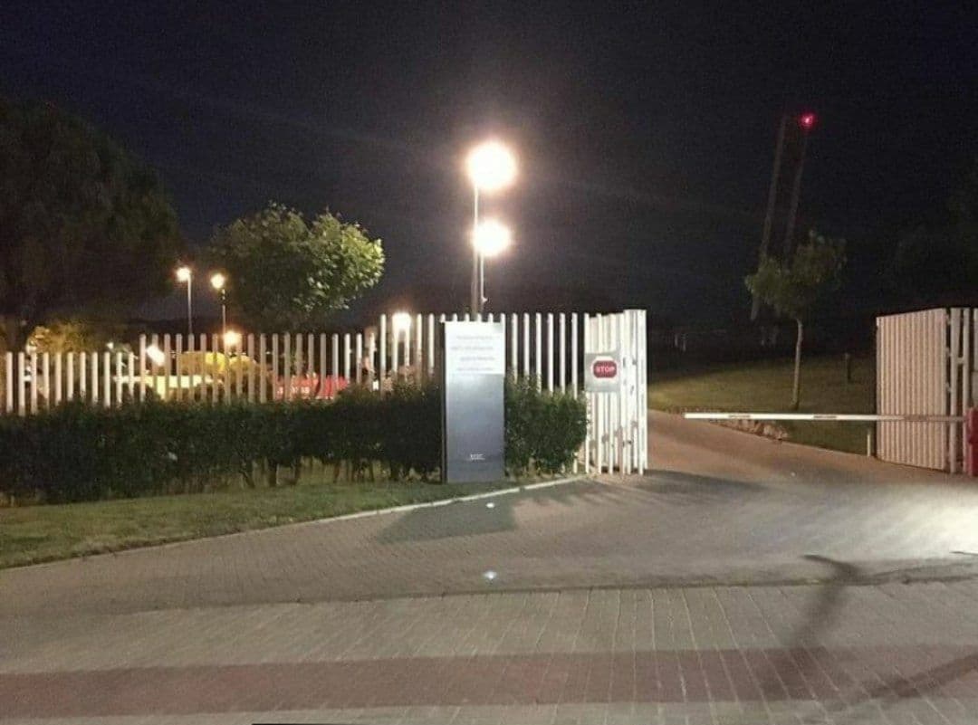 بوسکتس